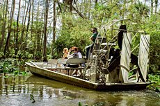 Dagsafari i Everglades indianreservat