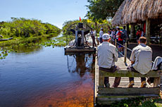 Gator PArk Everglades