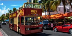 Hop On Hop Off buss